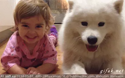 #Image Улыбашки GIF (Image de album Rehost))