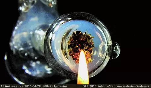#500x281 #Animated 1zz15 GIF (Obraz z album hemp))