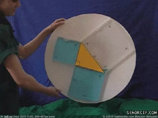 #640x467 #Animated 29113525483206 GIF (Image of album Alternative-News.tk))