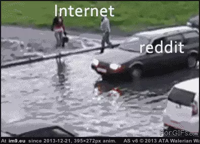 #4chan  #Internet [4chan] The internet, 4chan, and -b-. 10 GIF (Imagen de album My r/4CHAN favs))