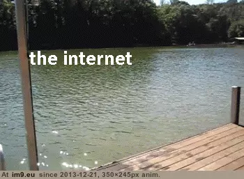 #4chan  #Internet [4chan] The internet, 4chan, and -b-. 19 GIF (Image de album My r/4CHAN favs))