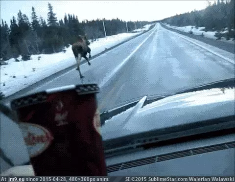 #480x360 #Animated 7IKNODr GIF (Image of album Alternative-News.tk))