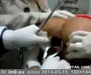 #Anal #Collection #SodomyGIF #Pushing #Gifs #Sodomy #AnalGIF [Anal] Collection of pushing and anal GIFs [ -r-Pushing] 27 GIF (Obraz z album My r/ANAL favs))