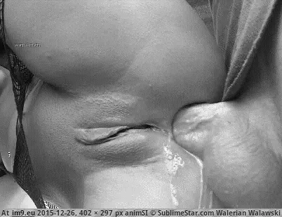 #Anal #Gifs #SodomyGIF #ButtfuckingGIF #Creampie #Fucked #Sodomy #AnalGIF Anal Creampie Fucked (The Best Gifs of Anal) GIF (Image of album Porn gifs (animated porn)))
