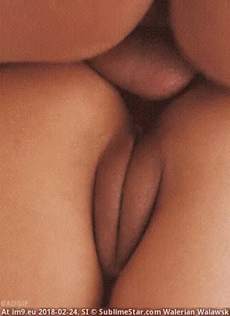 #Anal #SodomyGIF #ButtfuckingGIF #Perfect #Sodomy #AnalGIF [Anal GIF] Perfect GIF (Imagen de album My r/ANAL favs)