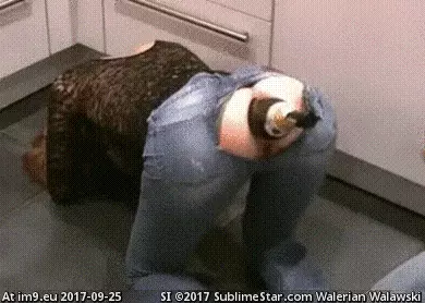 #Anal #Holder #AnalGIF #Wine [Anal GIF] Wine Holder GIF (Image of album My r/ANAL favs)
