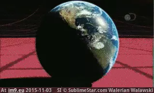 #Buzz #Enhanced anigif_enhanced-buzz-28265-1398275257-16 GIF (Image de album Alternative-News.tk))