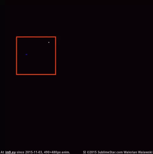 #Buzz #Enhanced anigif_enhanced-buzz-8938-1398274443-10 GIF (Изображение из альбом Alternative-News.tk))