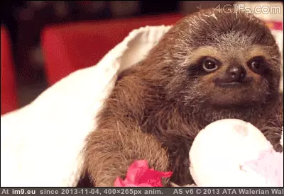 #You #Flower #For [Aww] A flower for you. GIF (Image of album My r/AWW favs))