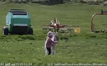  #Girl  [Aww] A girl and her foal. GIF (Bild von album My r/AWW favs))