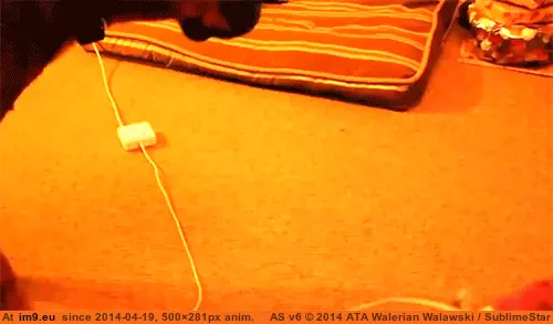  #Bed  [Aww] He took my bed ಥ_ಥ GIF (Image of album My r/AWW favs))