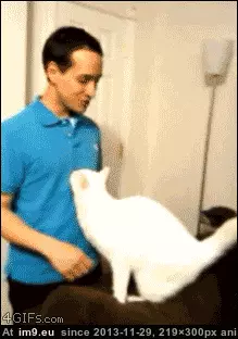  #Hug  [Aww] Hug? GIF (Image of album My r/AWW favs))