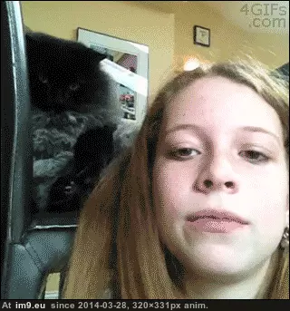  #Nom  [Aww] NOM! GIF (Изображение из альбом My r/AWW favs))