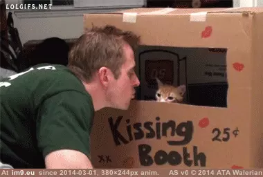  #Cents  [Aww] Oh only 25 cents! GIF (Image de album My r/AWW favs))