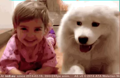 #Crime  #Partners [Aww] Partners in crime GIF (Image de album My r/AWW favs))