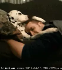 #Petting #Reversal #Role [Aww] Petting Role Reversal GIF (Imagen de album My r/AWW favs))