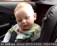 #Gifs #See #Acting #Did [Aww] See what I just did there? Acting. [gifs] GIF (Image de album My r/AWW favs))