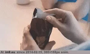  #Image  [Aww] So that's where they come from. GIF (Image de album My r/AWW favs))