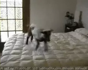  #Kid  [Aww] this kid gets it GIF (Bild von album My r/AWW favs))