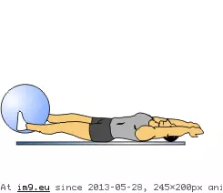 #Animated #Crunch #Transfer #Ball Ball Transfer Crunch (animated) GIF (Obraz z album Core exercises animations))