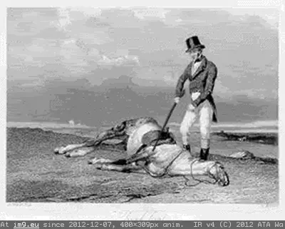 #Dead #Beat #Horse Beat dead horse GIF (Image of album Rehost))