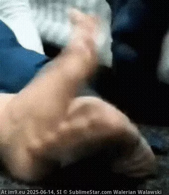 #Porn #Tits #Pussy #Xxx #Animated #Hardcore #XxxGIF #Fucking #Sperm #HardcoreGIF #Feet Box Feet GIF (Imagen de album Instant Upload))