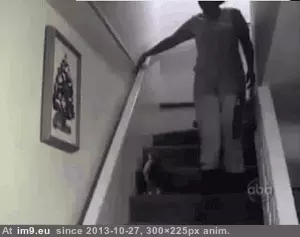 #Gifs #Cats #Upload #But #Crashed #Cat #All [Cats] I tried to upload all my cat gifs to imgur, but it crashed 33 GIF (Image of album My r/CATS favs))