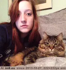 #Gifs #Cats #Upload #But #Crashed #Cat #All [Cats] I tried to upload all my cat gifs to imgur, but it crashed 46 GIF (Image of album My r/CATS favs))