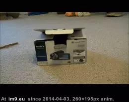 #Cats #Missing #Friend [Cats] Missing my friend 3 GIF (Image of album My r/CATS favs))