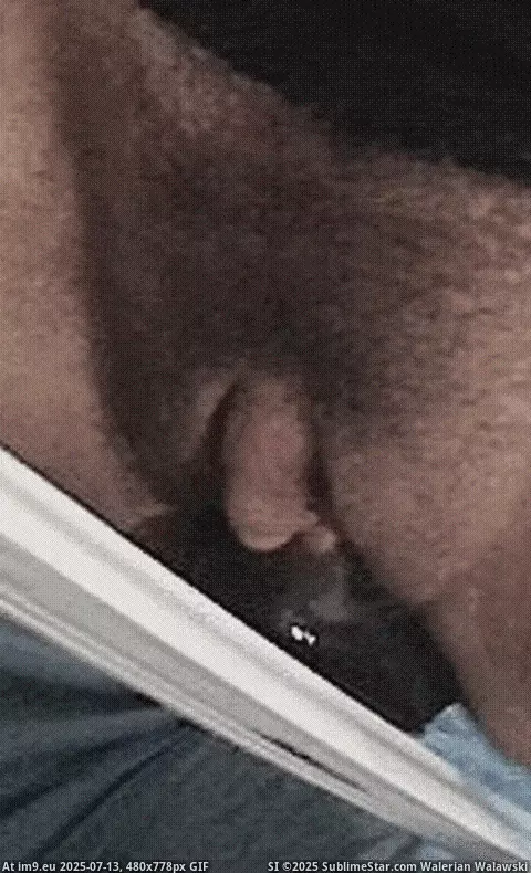 #Amateur #Animated #Nsfw #Cunt #HornyGIF #Labia #Wetpussy #DildoGIF #Fuckhole #Clitoris #Bigclit clitboner GIF (Imagen de album cliterection)