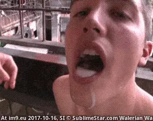 #Cum #Cumshot #Mouth #Faggot #Gay #Sperm Cum 8 GIF (gay sperm, cumshot) GIF (Image of album Gay Cum)
