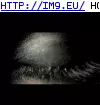 #Eye #Evil Evil Eye GIF (Bild von album Evil, dark GIF's - avatars and horrors))