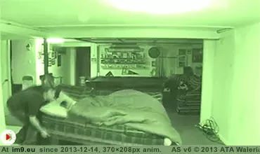 #Gifs #Prank #Funny [Funny] 35 Best Prank Gifs 10 GIF (Image de album My r/FUNNY favs))