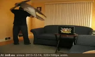 #Gifs #Prank #Funny [Funny] 35 Best Prank Gifs 22 GIF (Image de album My r/FUNNY favs))