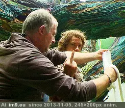 #Funny #Rude #Hobbit [Funny] A Rude Hobbit 6 GIF (Obraz z album My r/FUNNY favs))