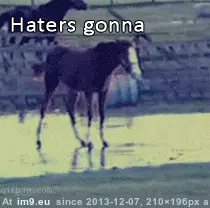 #Funny #Street #Canadian #Accurate #Depiction #Winter #Walk [Funny] Accurate depiction of trying to walk down the street in the Canadian winter. GIF (Obraz z album My r/FUNNY favs))