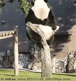 #Funny  #Thanksgiving [Funny] After Thanksgiving is over... GIF (Bild von album My r/FUNNY favs))