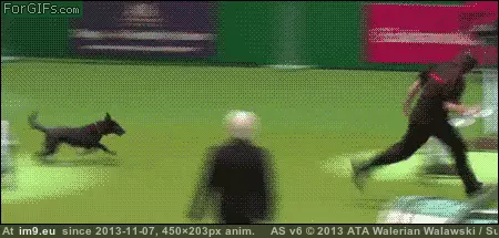 #Collection #Gifs #Two #Favorite #Redditing #Funny #Years [Funny] After two years of Redditing, a collection of my favorite GIFs 11 GIF (Image of album My r/FUNNY favs))
