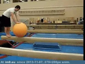 #Collection #Gifs #Two #Favorite #Redditing #Funny #Years [Funny] After two years of Redditing, a collection of my favorite GIFs 17 GIF (Изображение из альбом My r/FUNNY favs))