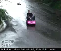 #Collection #Gifs #Two #Favorite #Redditing #Funny #Years [Funny] After two years of Redditing, a collection of my favorite GIFs 21 GIF (Bild von album My r/FUNNY favs))