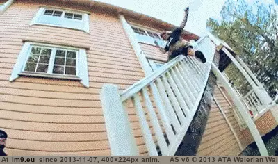 #Collection #Gifs #Two #Favorite #Redditing #Funny #Years [Funny] After two years of Redditing, a collection of my favorite GIFs 4 GIF (Image of album My r/FUNNY favs))