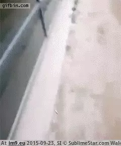 #Funny #Poke #Dead [Funny] Are you dead? *poke* GIF (Image of album My r/FUNNY favs))