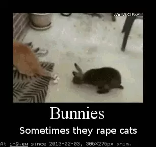 #Funny #Bunny #Cat Funny - bunny and cat GIF (Obraz z album Mojsze obrazki))