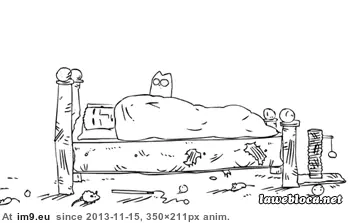 #Funny #Are #Assholes #Cats [Funny] Cats are assholes GIF (Изображение из альбом My r/FUNNY favs))