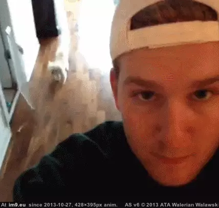 #Funny  #Clingy [Funny] Clingy GIF (Image of album My r/FUNNY favs))