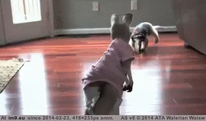 #Funny  #Bro [Funny] COME AT ME BRO GIF (Image of album My r/FUNNY favs))