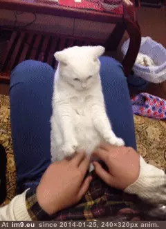 #Funny  #Concentration [Funny] Concentration GIF (Obraz z album My r/FUNNY favs))