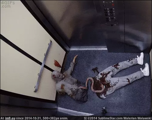 #Funny  #Cut [Funny] Cut in half GIF (Image de album My r/FUNNY favs))