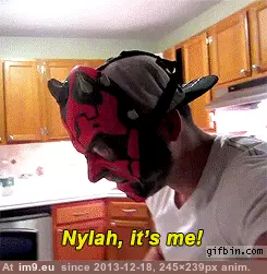 #Funny #Darth #Maul #Cat [Funny] Darth Maul with his cat GIF (Imagen de album My r/FUNNY favs))