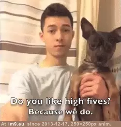 #Funny #You #Fives #High [Funny] Do you like high fives? GIF (Image of album My r/FUNNY favs))